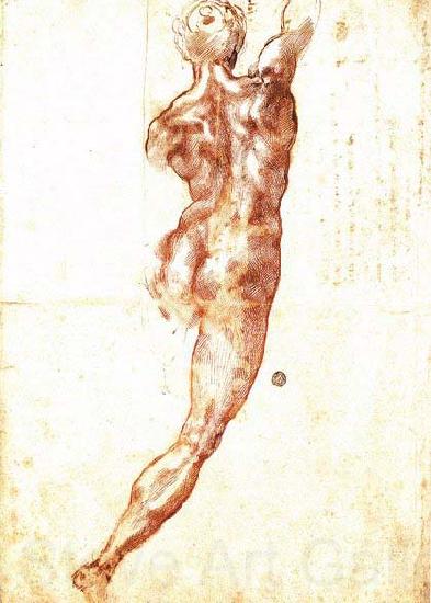 Michelangelo Buonarroti Study for a Nude Germany oil painting art